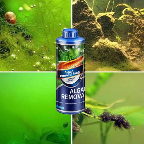 Algae Remover Fish Tank Removes Green Algae Fish Pond Algaecide Moss Removal