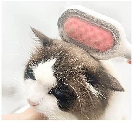 Pet Hair Roller